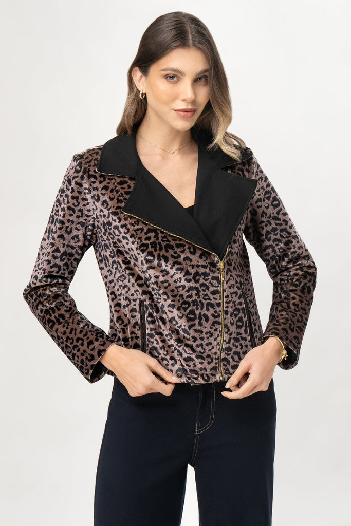 Casaca Biker Lyra CASACAS MOIXX Marron Oscuro S 